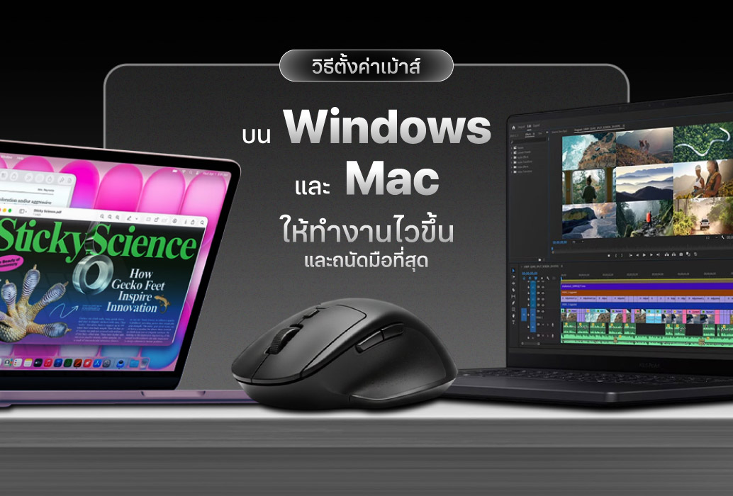 วิธีเช็คสุขภาพ SSD และความเร็วในการอ่าน-เขียน (ทำได้เองง่ายๆ ไม่เสียเงิน)