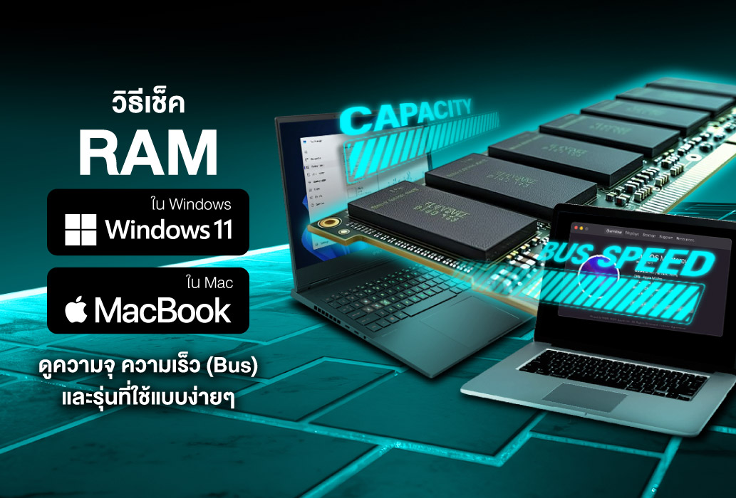 วิธีเช็ค RAM ในคอมพิวเตอร์ (Windows/Mac) ดูความจุ ความเร็ว (Bus) และรุ่นที่ใช้แบบง่ายๆ