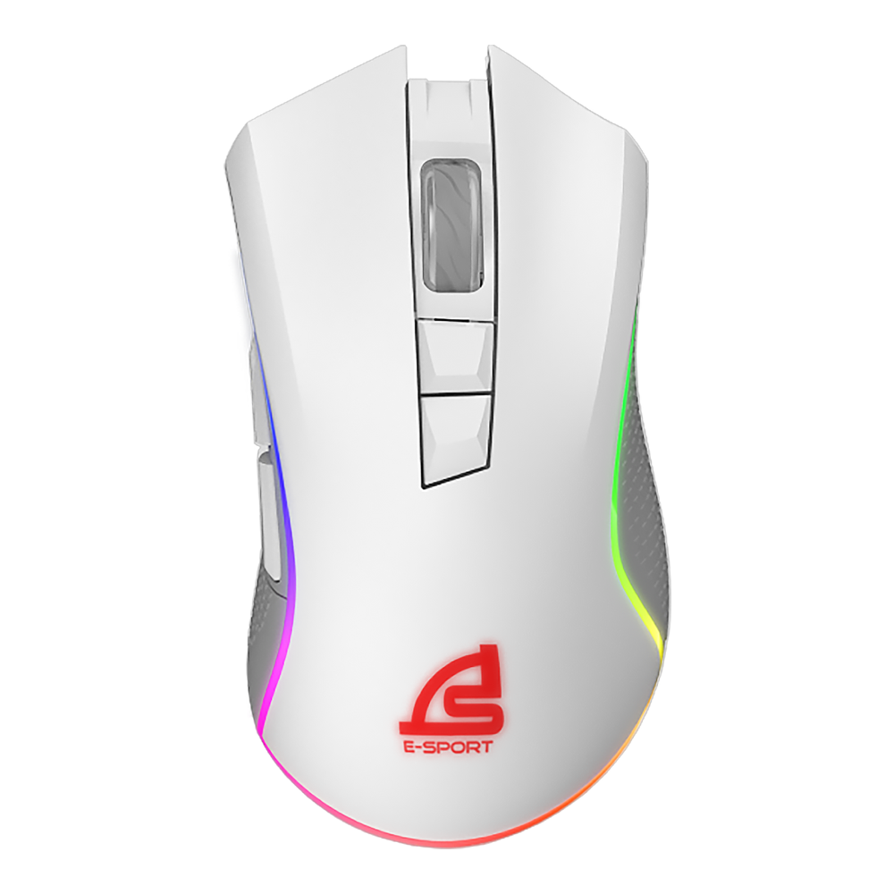 WIRELESS MOUSE (เมาส์ไร้สาย) SIGNO WG-900W VORTEX