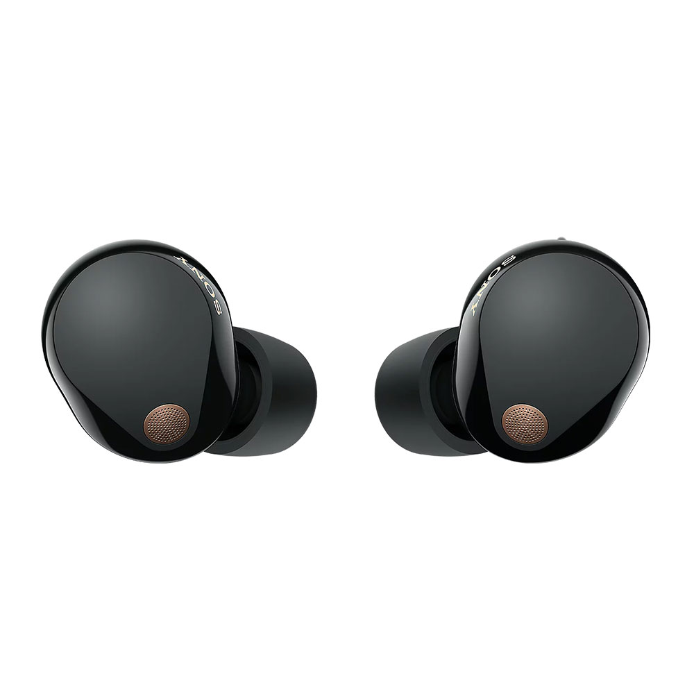 TRUE WIRELESS (หูฟังไร้สาย) SONY WF-1000XM5 (BLACK)