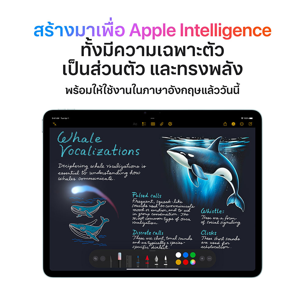 Product preview