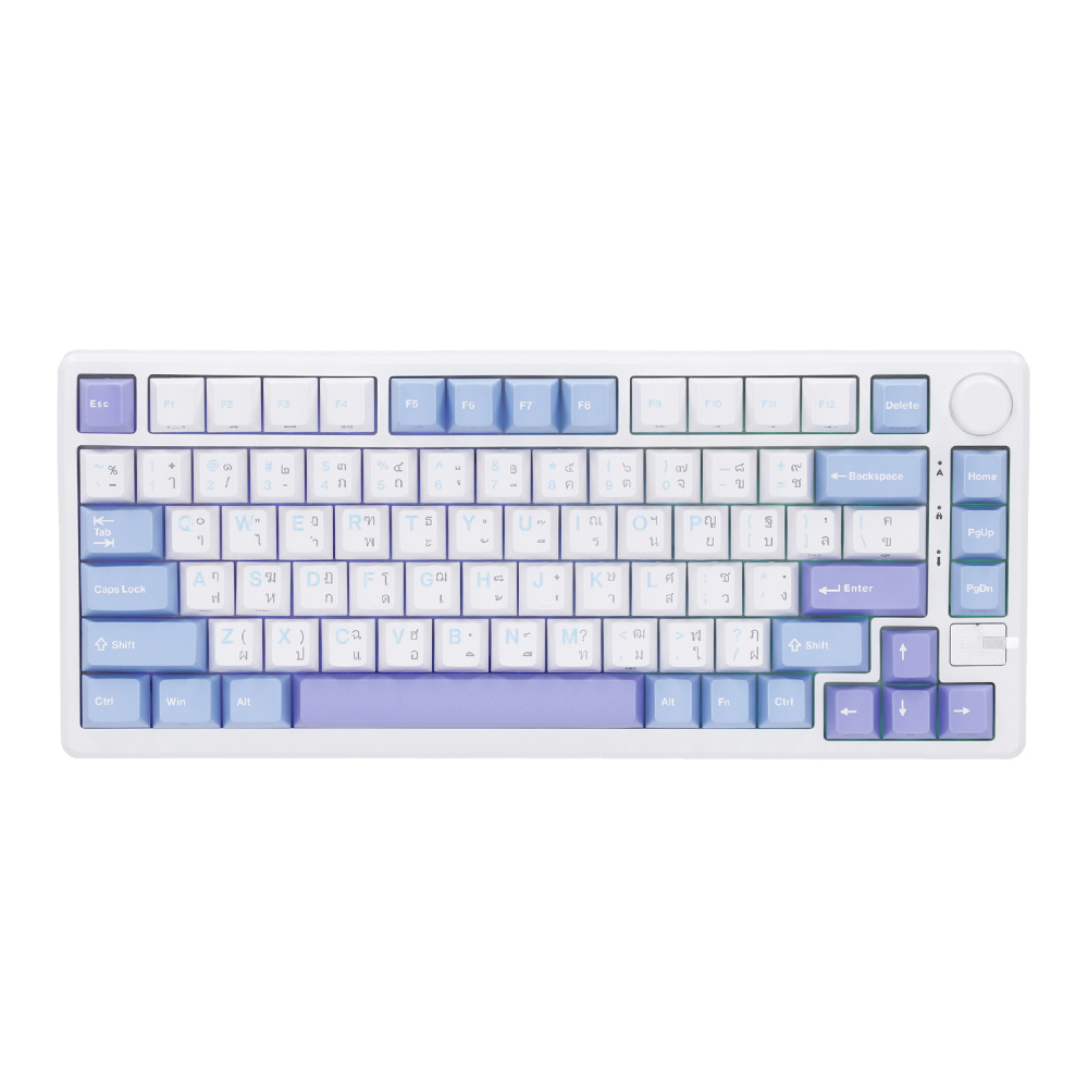 WIRELESS KEYBOARD (คีย์บอร์ดไร้สาย) ROYAL KLUDGE RKM75 SILVER SWITCH RGB EN/TH - TAROMILK