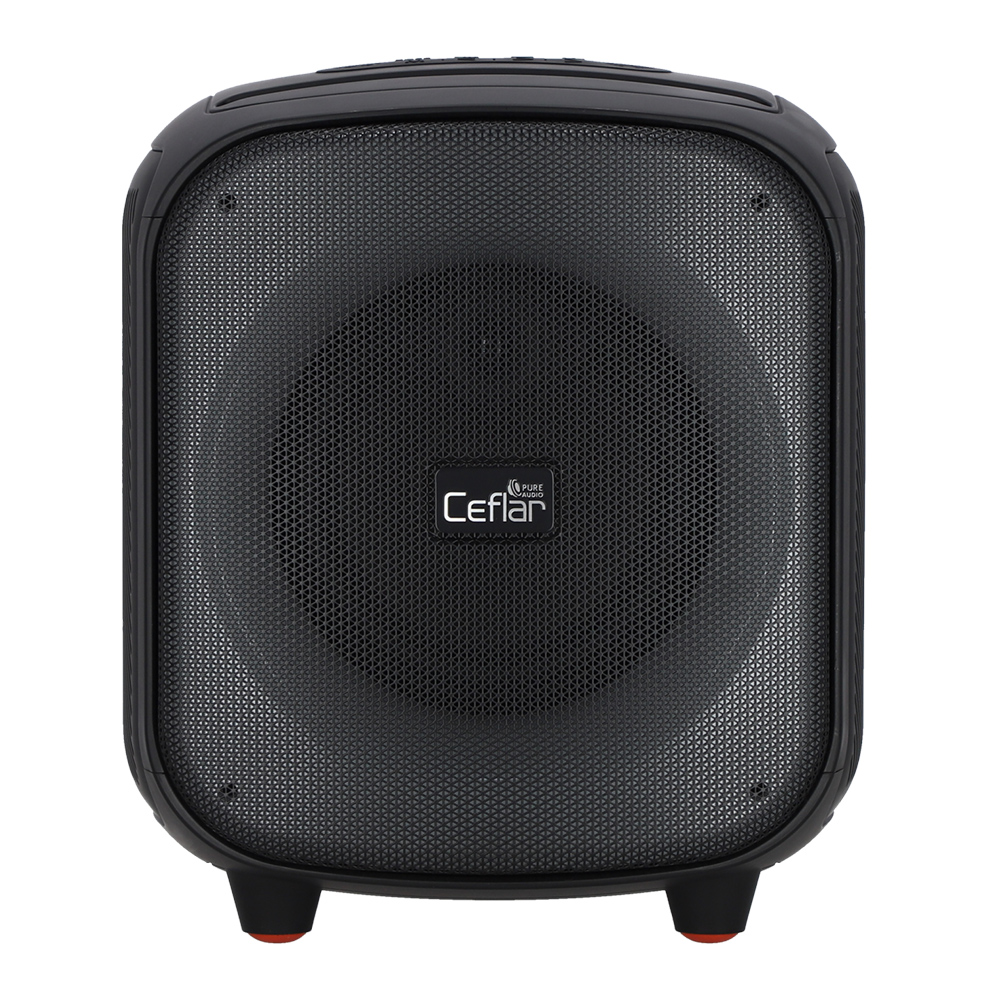 BLUETOOTH SPEAKER (ลำโพงบลูทูธ) CEFLAR CPS-03 - BLACK