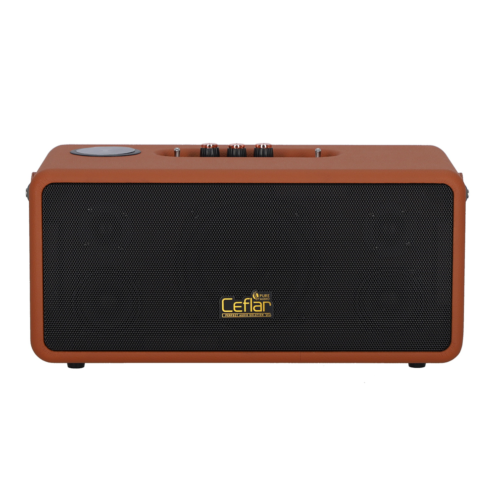 BLUETOOTH SPEAKER (ลำโพงบลูทูธ) CEFLAR SUPER BASS M1 - BROWN
