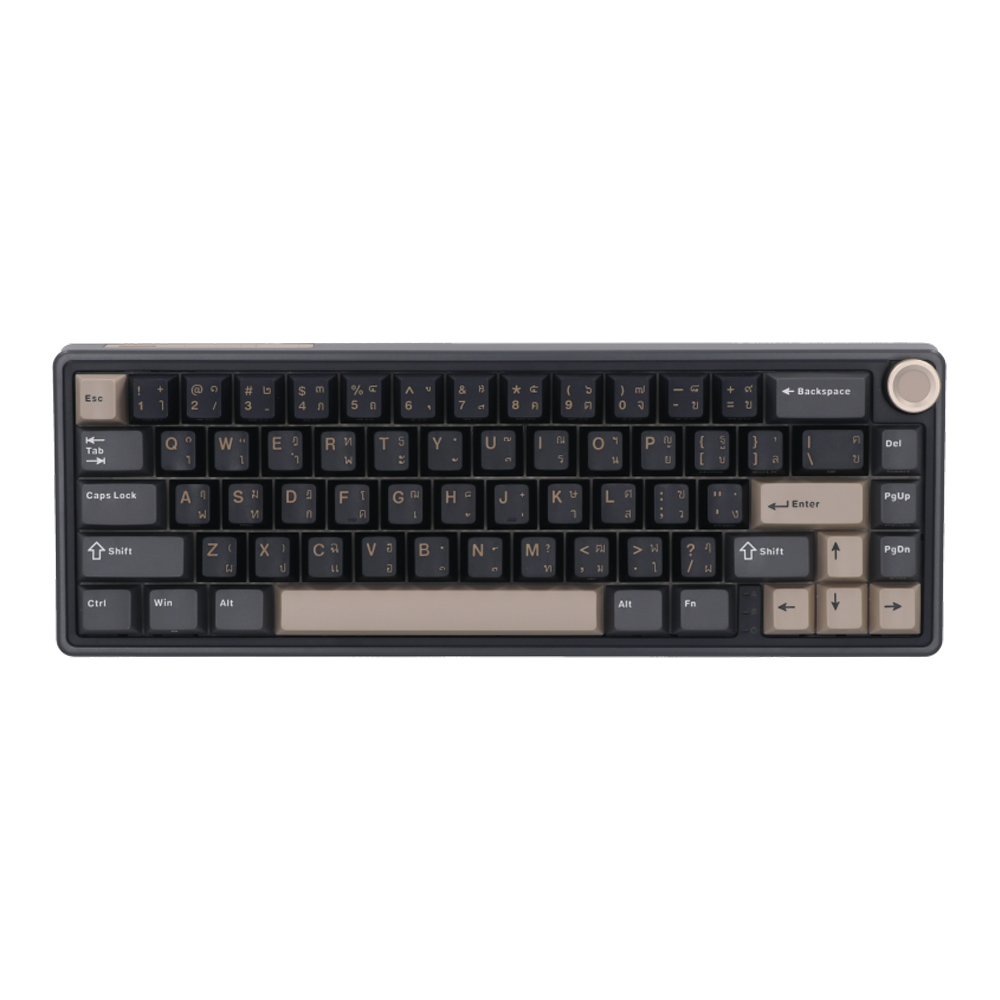KEYBOARD (คีย์บอร์ด) ROYAL KLUDGE RKR65 BROWN SWITCH RGB EN/TH - PHANTOM