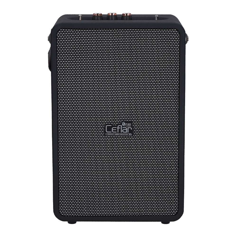 BLUETOOTH SPEAKER (ลำโพงบลูทูธ) CEFLAR M2 - BLACK
