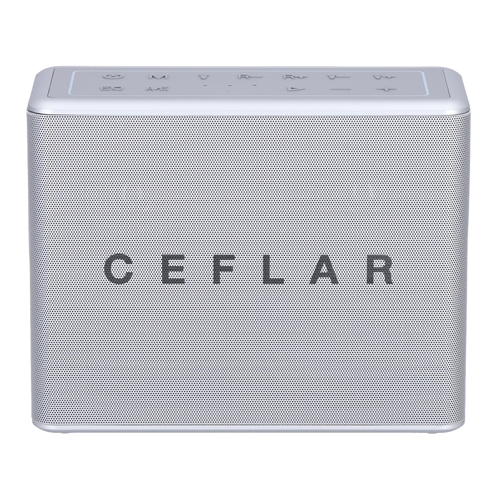 BLUETOOTH SPEAKER (ลำโพงบลูทูธ) CEFLAR VOX PRO V60 - SILVER