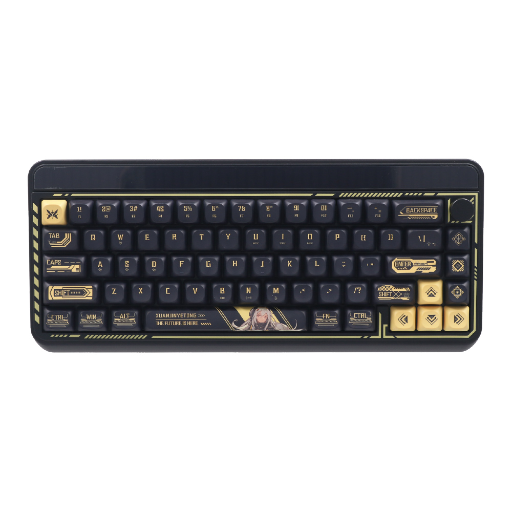 WIRELESS KEYBOARD (คีย์บอร์ดไร้สาย) AULA LEOBOG HI65 - JASPER SWITCH RGB EN BLACK