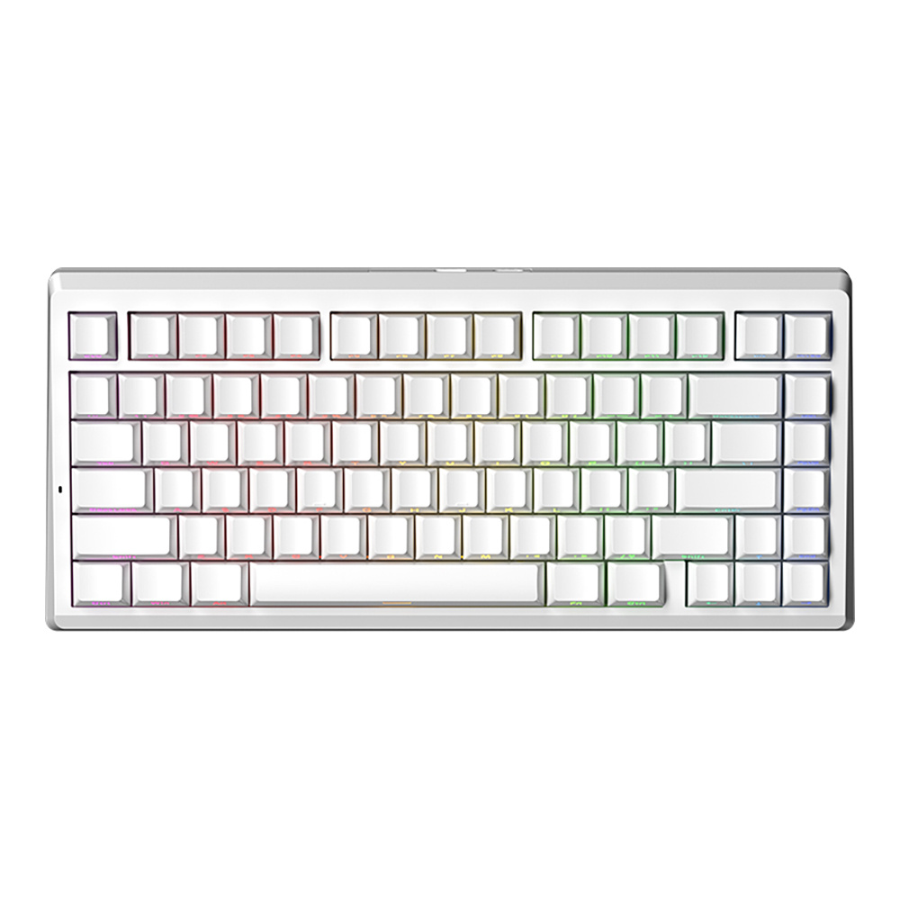 KEYBOARD (คีย์บอร์ด) AULA LEOBOG A80RT - JADE MAGNETIC SWITCH RGB EN WHITE
