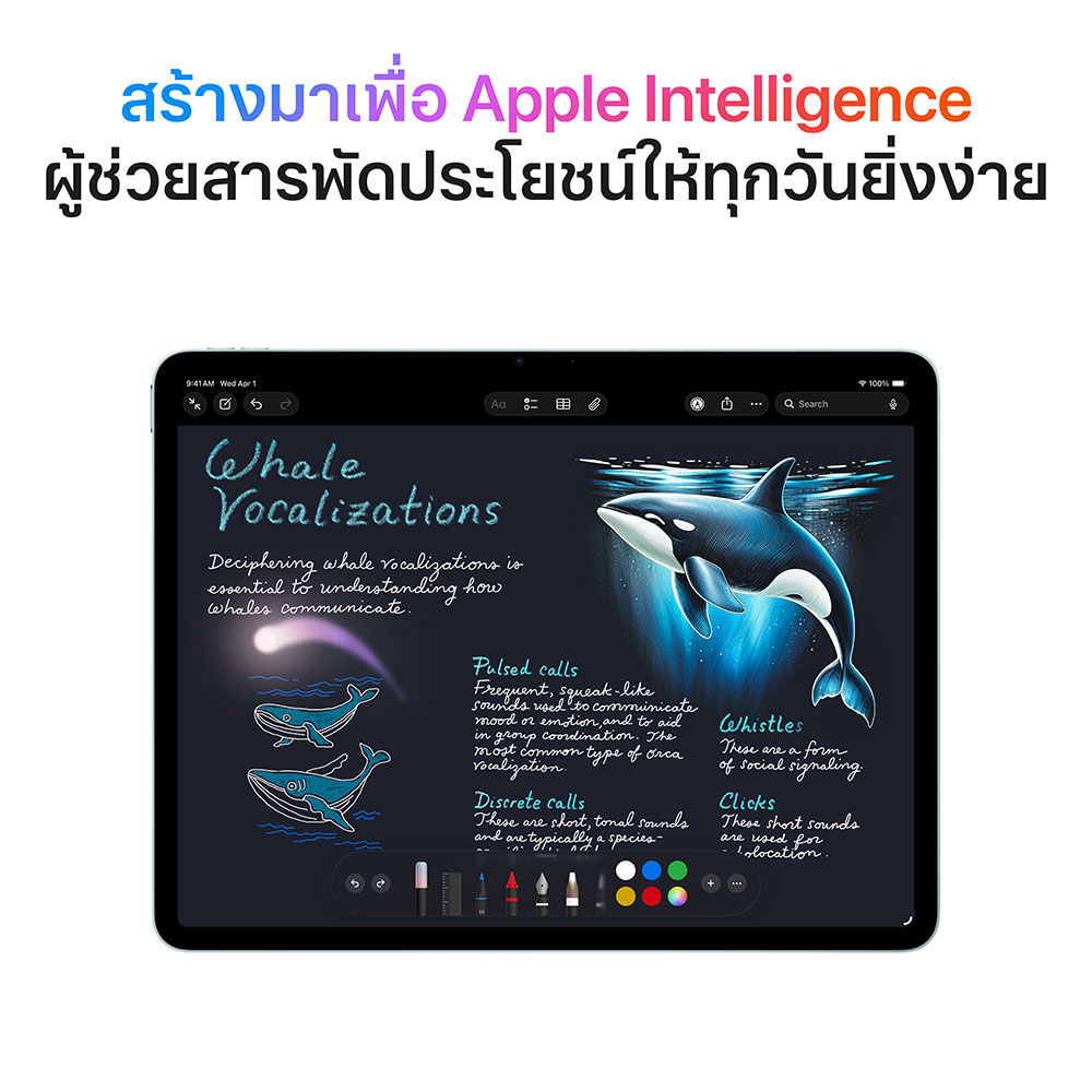 Product preview